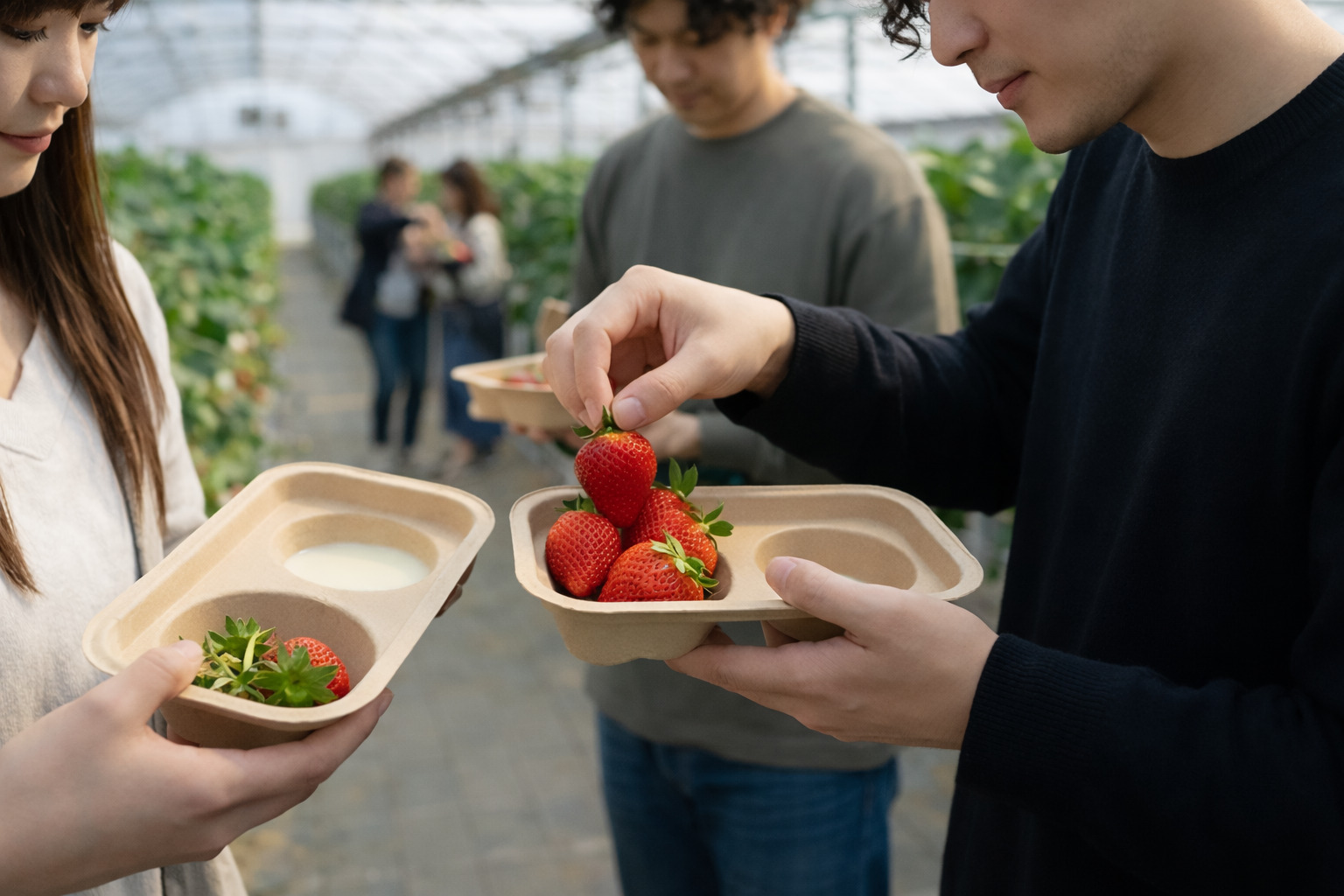 パルプモールド製のいちご狩りトレイの使用イメージ